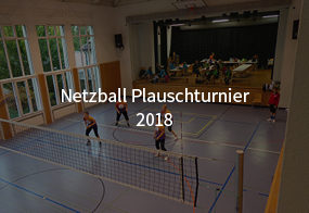 Netzball Plauschturnier 2018
