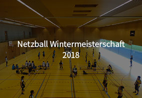 Netzball Wintermeisterschaft 2018